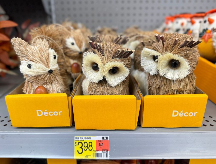 squirrel and owl figurines on a store shelf