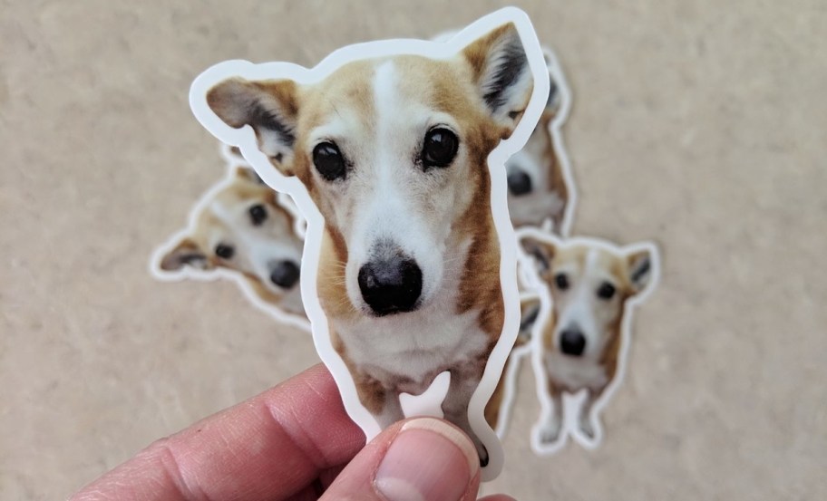 hand holding a sticker of a dog