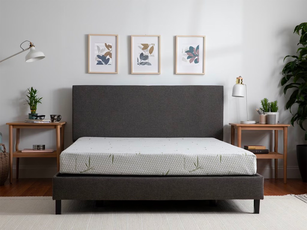 mattress on black bed frame in bedroom