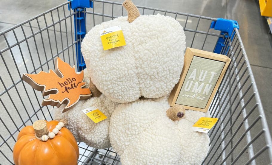 10 NEW Walmart Fall Decor Pieces | Autumn-Themed Home Accents from $3.98