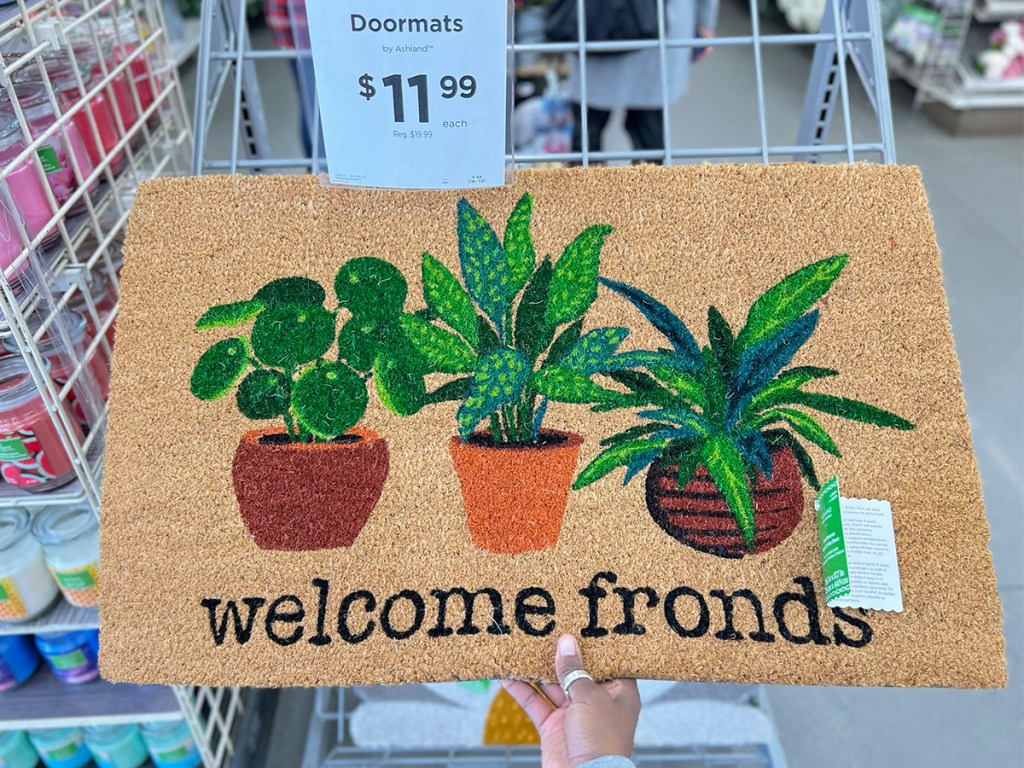 hand holding welcome friends doormat with succulents