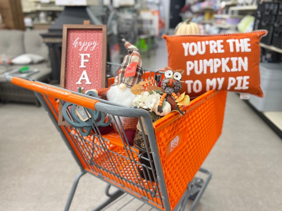 Today ONLY: 50% Off All Big Lots Fall Decor