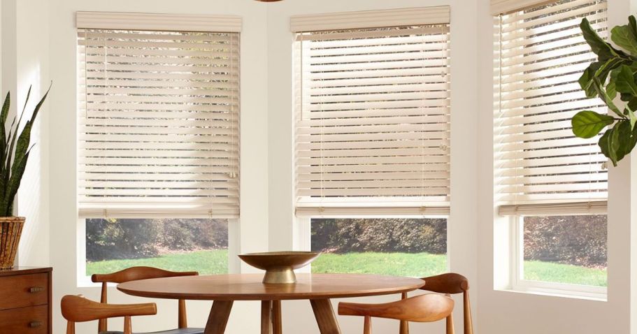 Up to 55% Off Custom Blinds & Shades + FREE Professional Measure on Blinds.com