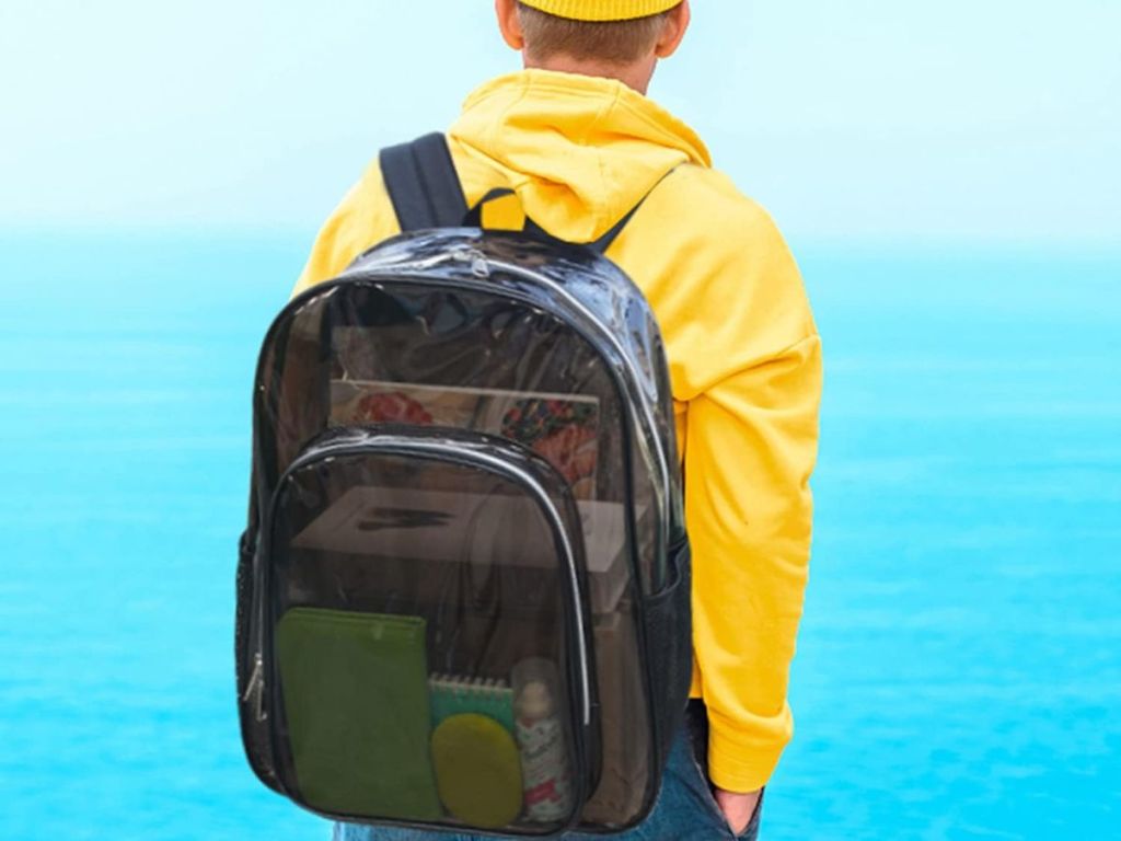 COVAX Heavy Duty Clear Backpack by the sea