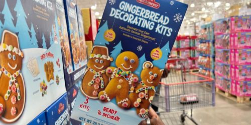 Huge Costco Gingerbread Decorating Kit Just $12.49 | Fun Family Activity