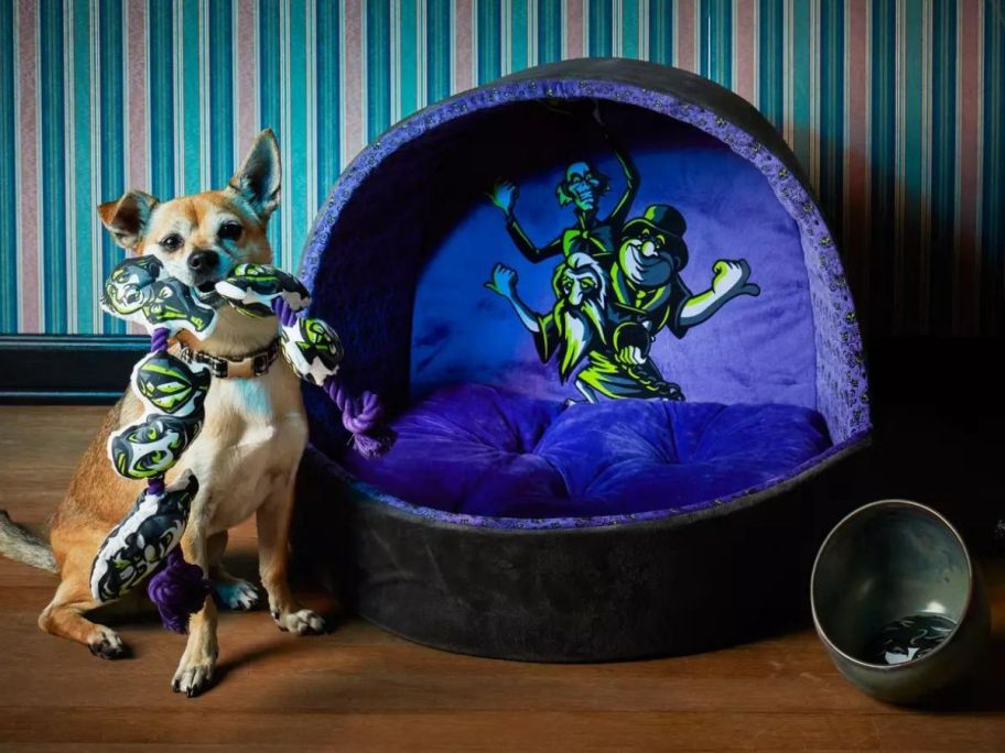 Dog Next to a Haunted Mansion Hitchhiking Ghosts Bed