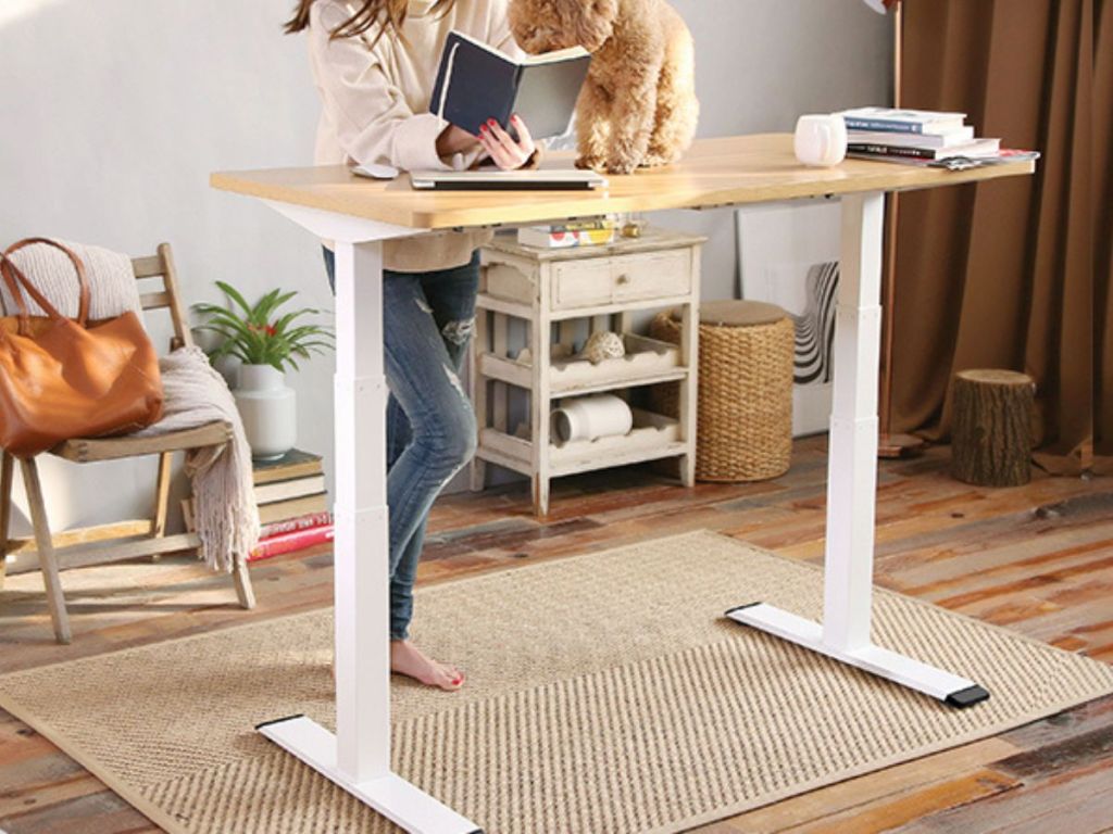 FlexiSpot Electric Height Adjustable Standing Desk with a woman and a dog