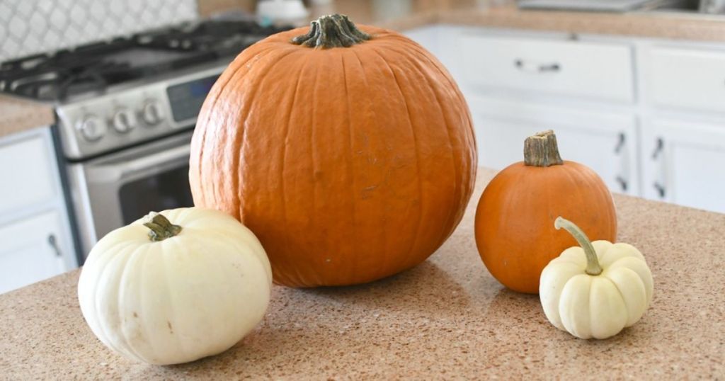 pumpkins sitting on a kitchen counter