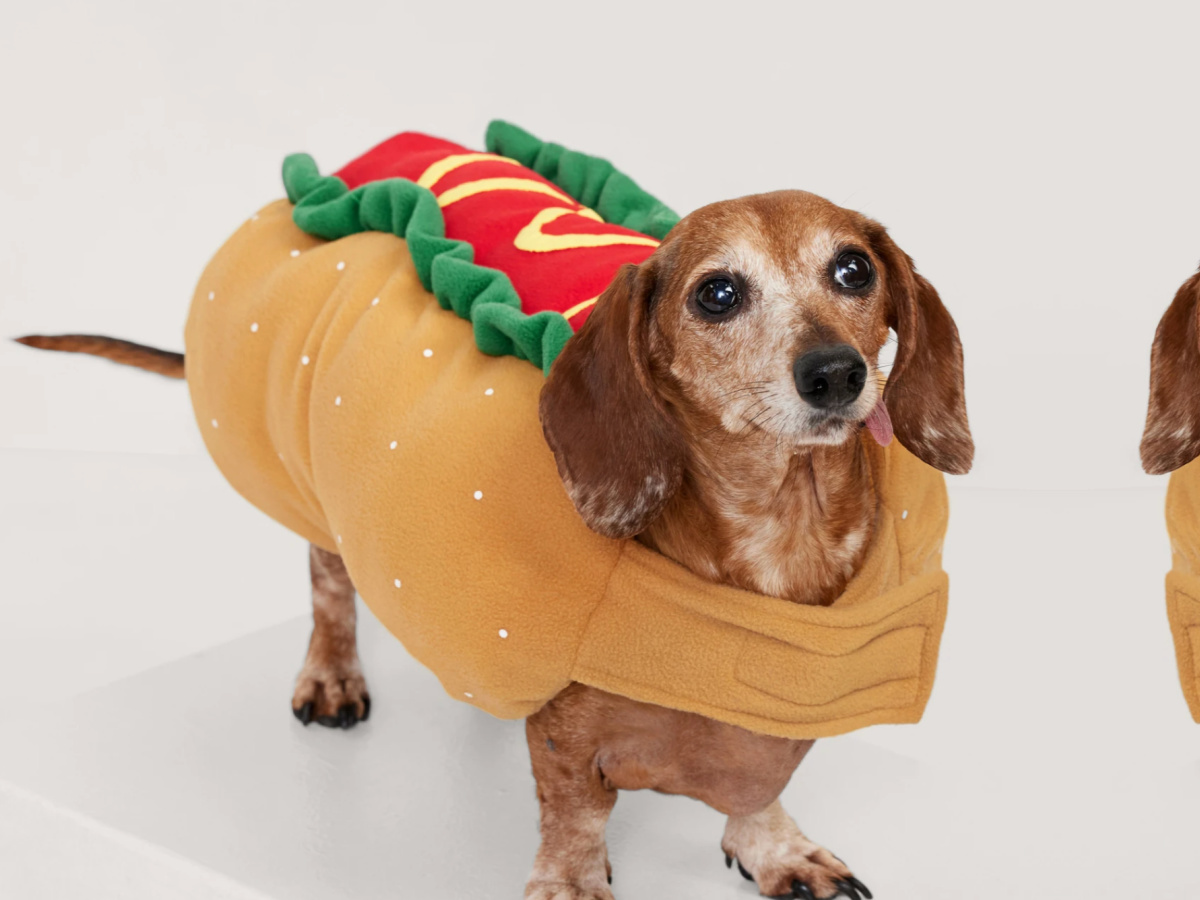 50 Off Old Navy Halloween Costumes Including Pets Clothing