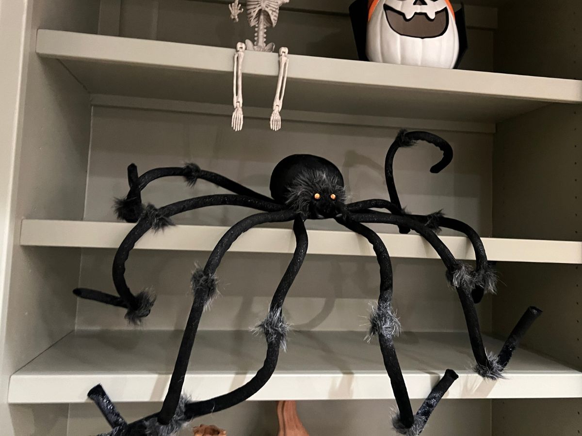 Hyde &amp; EEK! Boutique 50 Plush Spider  hanging out on built in bookshelves 