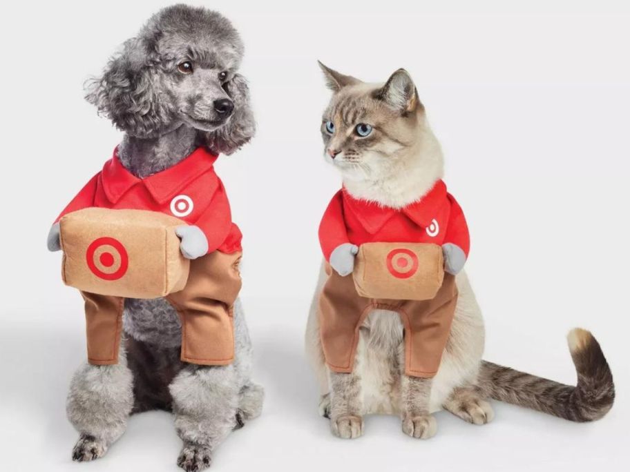 A dog and a cat in a target Halloween costume