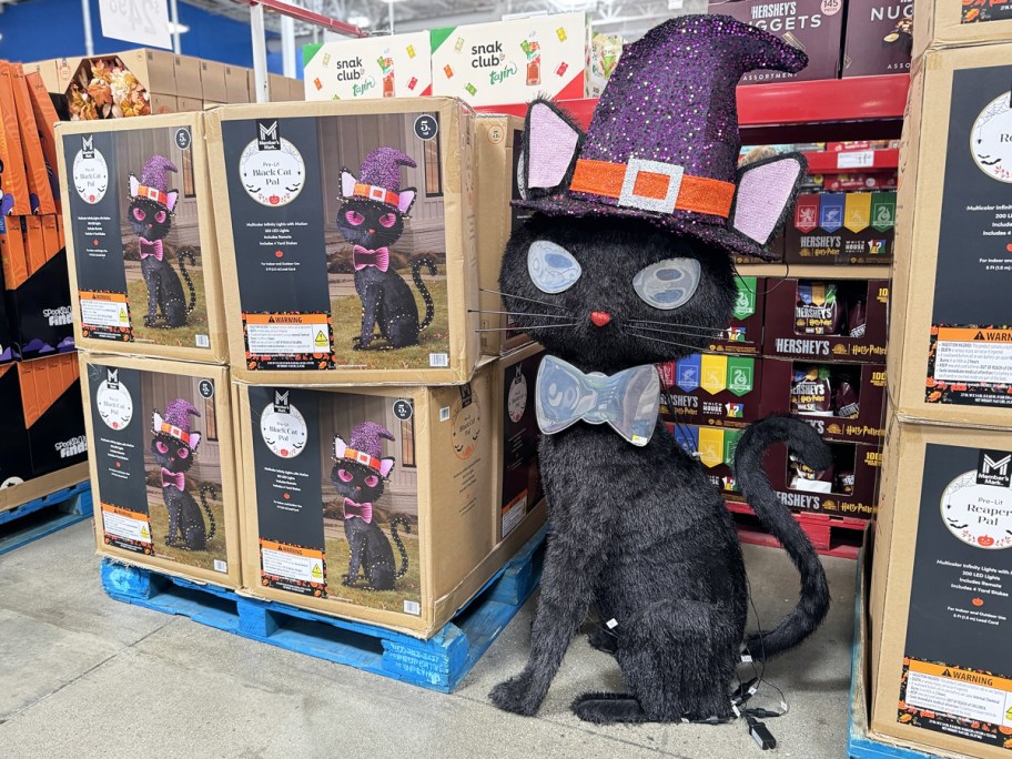 large black cat halloween decoration on display in store