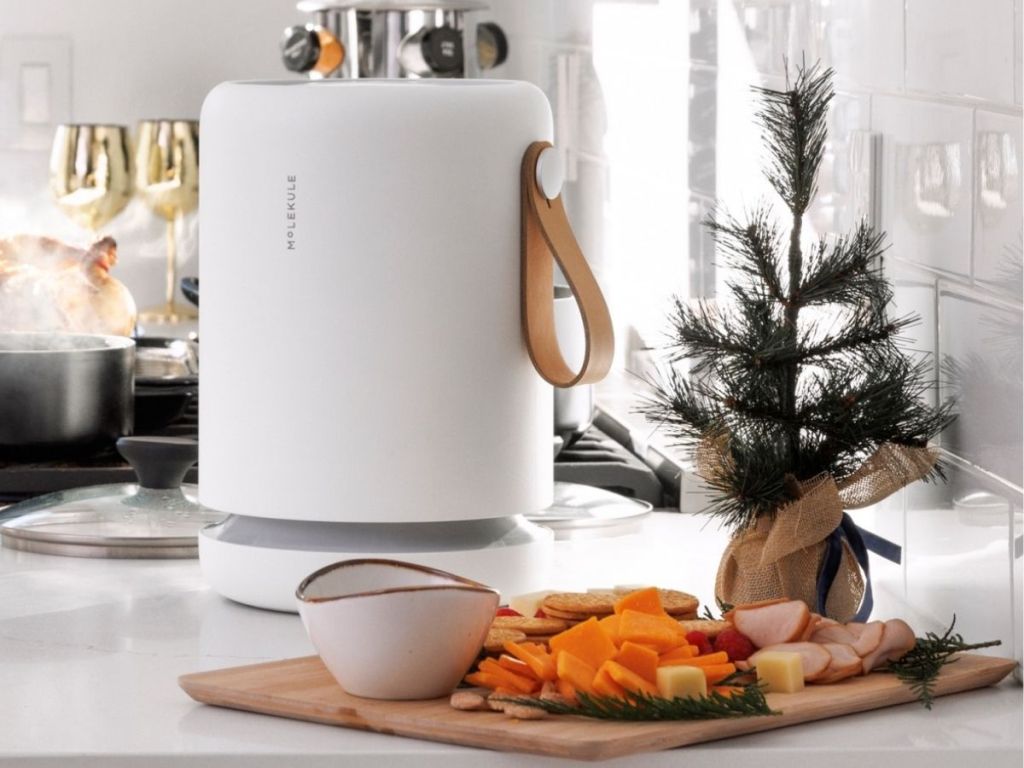 A Molekule air purifier next to a cutting board of food on a counter