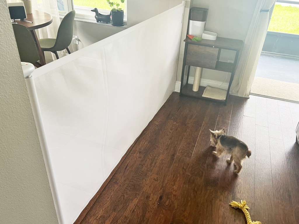 white retractable baby gate with dog on one side