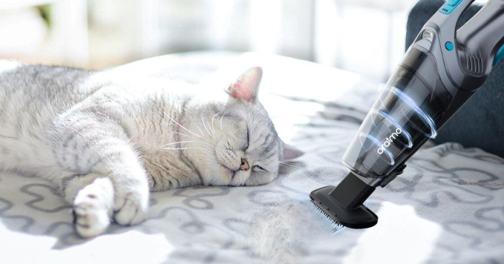 person using hand-held vacuum to clean up cat hair next to cat