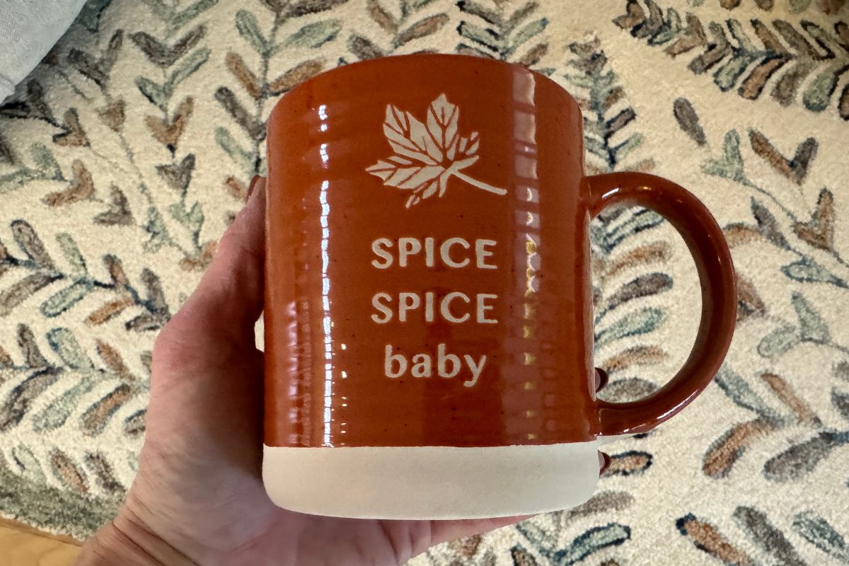 Place &amp; Time Spice Spice Baby 16oz Mug 