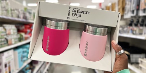 RARE 25% Off Stanley Tumblers & Bottles at Target – Today Only