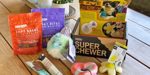 Super Chewer Bark Box Only $17.60 Shipped (Includes 2 Toys AND 2 Full-Size Treat Bags!)