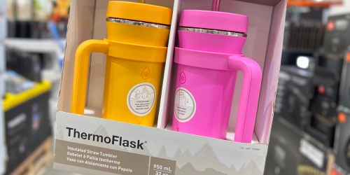 ThermoFlask 32oz Tumbler w/ Straw & Handle 2-Pack Only $23.99 at Costco!