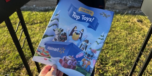 Walmart’s 2024 Holiday Toy Book May Be in Your Mailbox