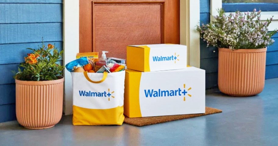 walmart+ boxes and bag at front door