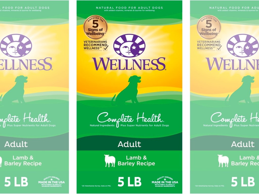 Wellness Complete Natural Grain Free Dry Dog Food 5-Pound Bag in Lamb & Barley