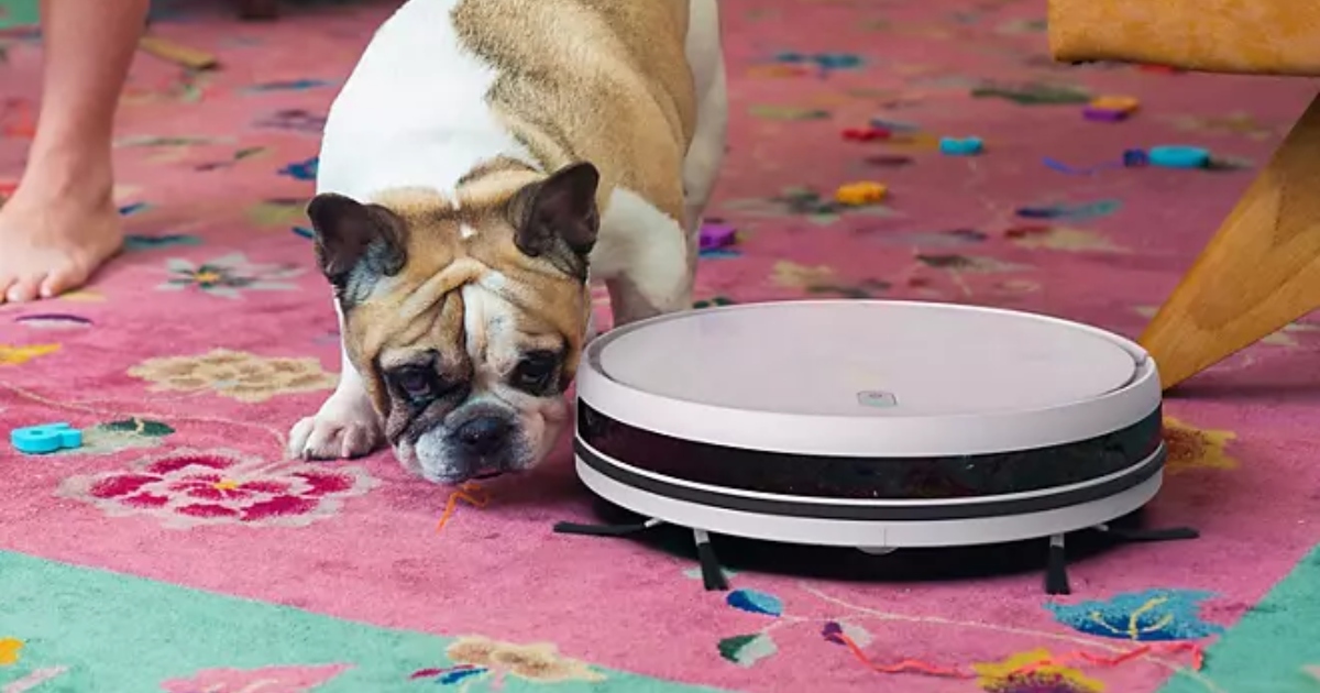 dog sniffing robot vacuum