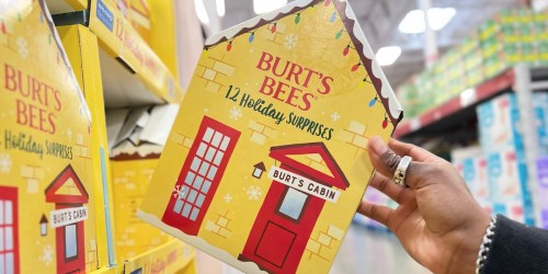 Burt’s Bees Lip Balm Advent Calendar Only $16.48 at Sam’s Club