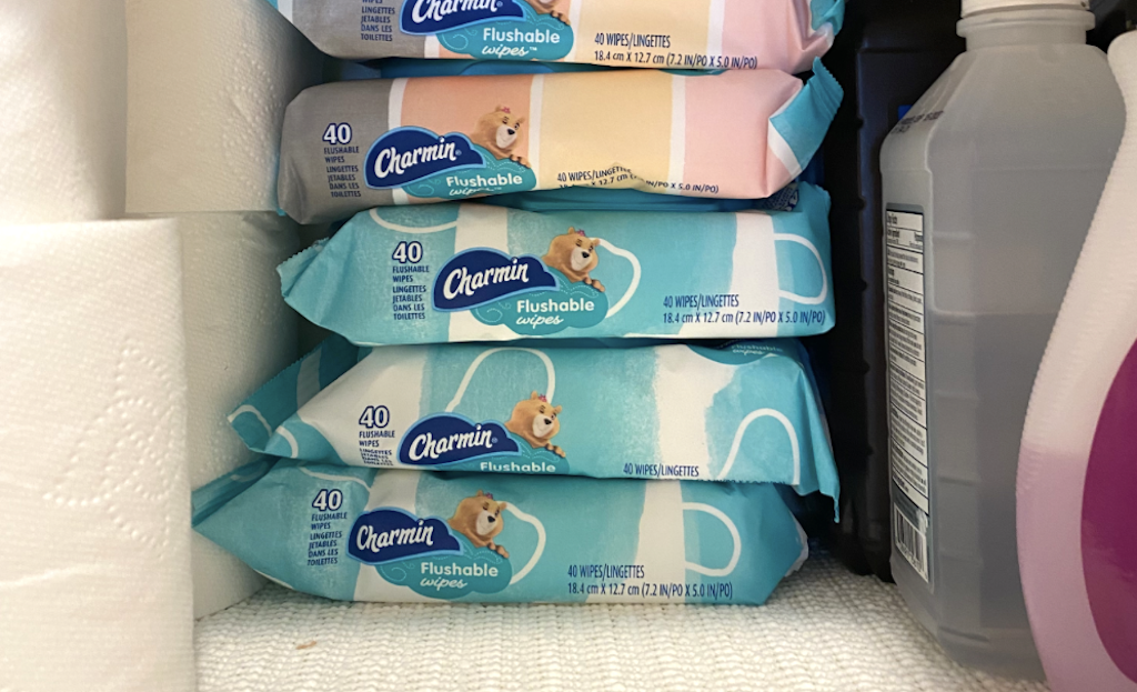 Charmin wipes 4 pack 