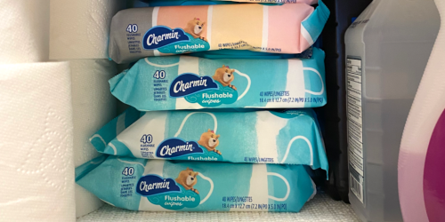 Charmin Flushable Wipes 4-Packs as Low as $3.40 Each Shipped on Amazon (Reg. $11)