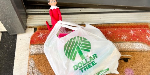 25 Elf On The Shelf Dollar Tree Ideas for UNDER $24 (+ FREE Printable Shopping List!)