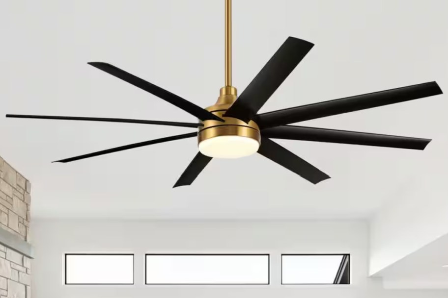 black and gold 8 blade ceiling fan