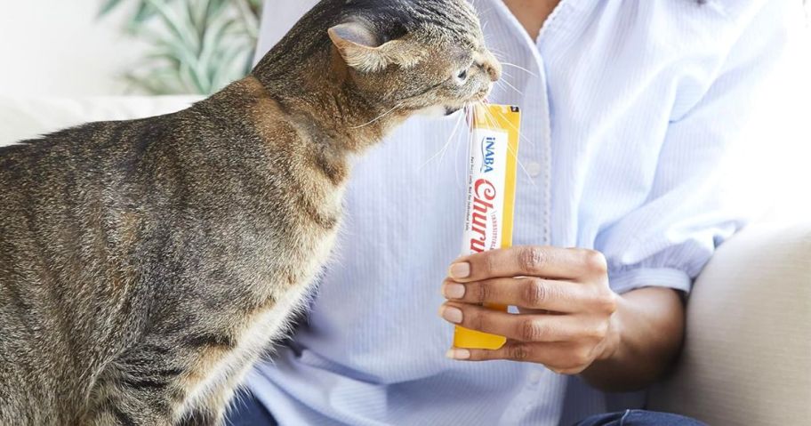 person holding a Churu lickable Cat treat while a cat licks it