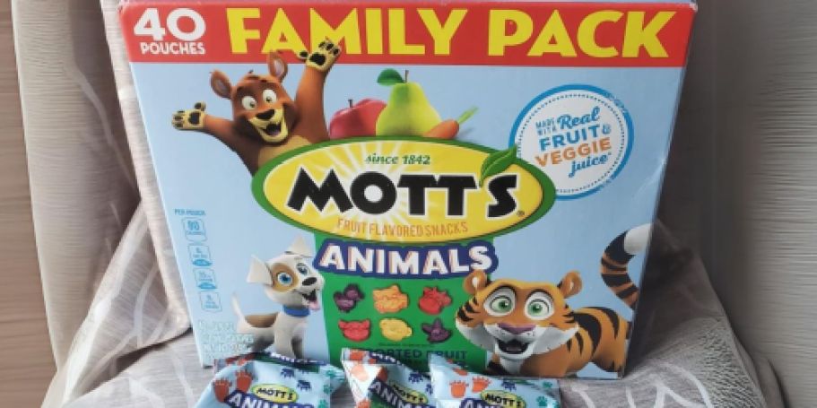 Mott’s Fruit Snacks 40ct Box $5.99 Shipped on Amazon (Stock Up w/ $10 Off Grocery Promo!)