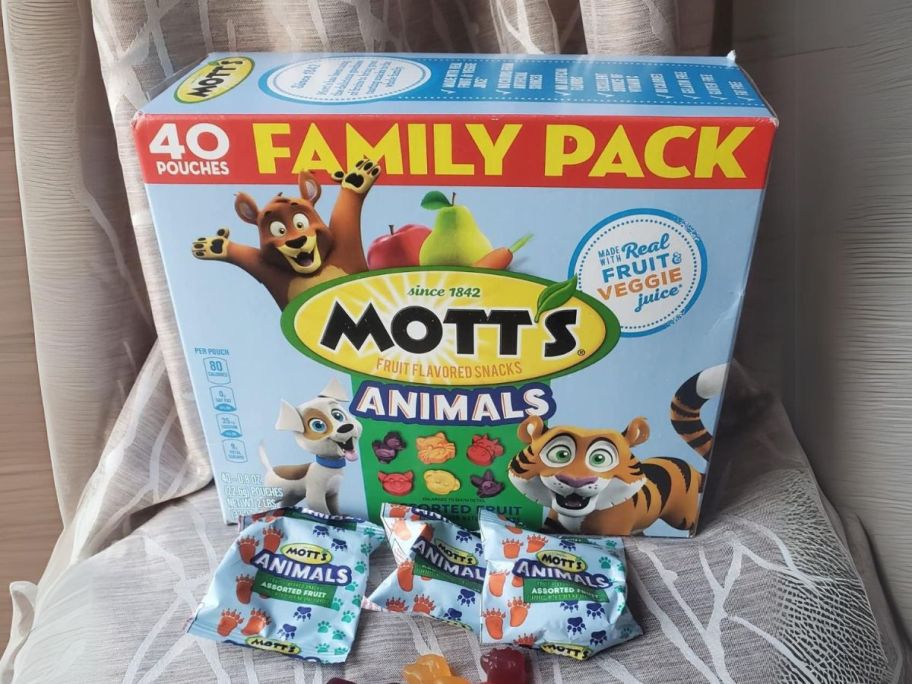 mott's fruit snack family pack box on chair