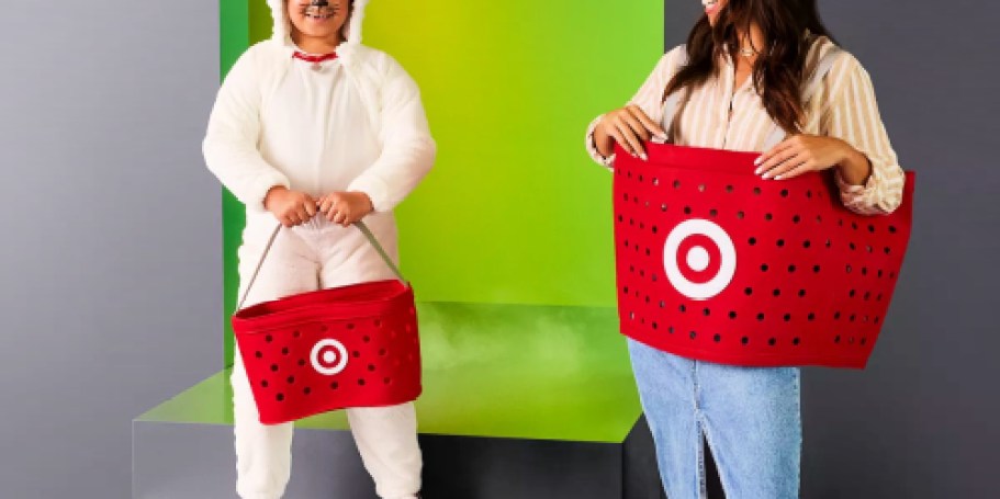 NEW Target Halloween Costumes & Accessories Only $10