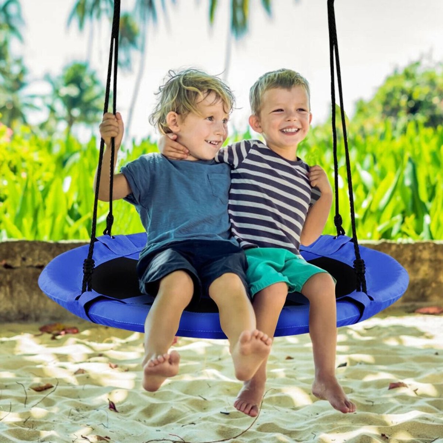 two boys swinging on tree swing