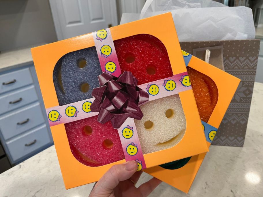 two scrub mommy sets in hand in kitchen