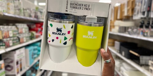 *RARE* Discount on Stanley Tumblers at Target – Great Gift Idea!