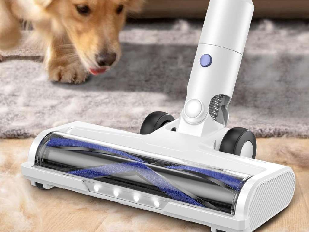 vacuum cleaning carpet and flooring with dog in the background