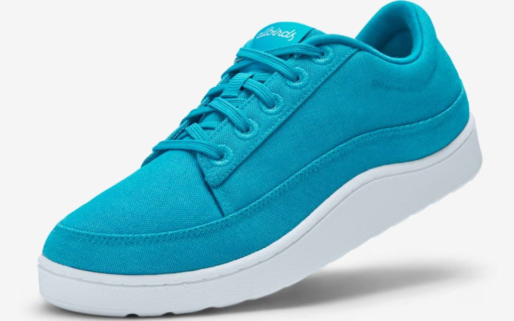 Allbirds Men's Canvas Pacers in teal stock image