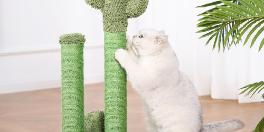 Amazon Basics Cactus Cat Tree Only $13.99 Shipped (Regularly $40)