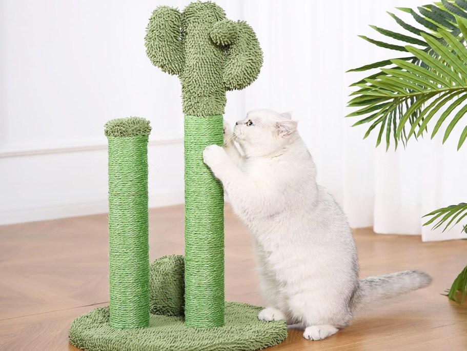 Amazon Basics Cactus Cat Tree Only $13.99 Shipped (Regularly $40)