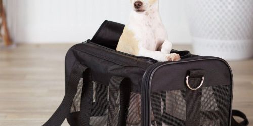 Amazon Basics Small Mesh Pet Carrier Bag UNDER $15 Shipped | Great for Airline Travel