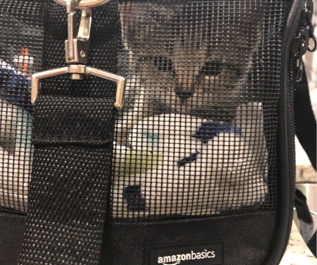 A cat in an Amazon Pet Carrier
