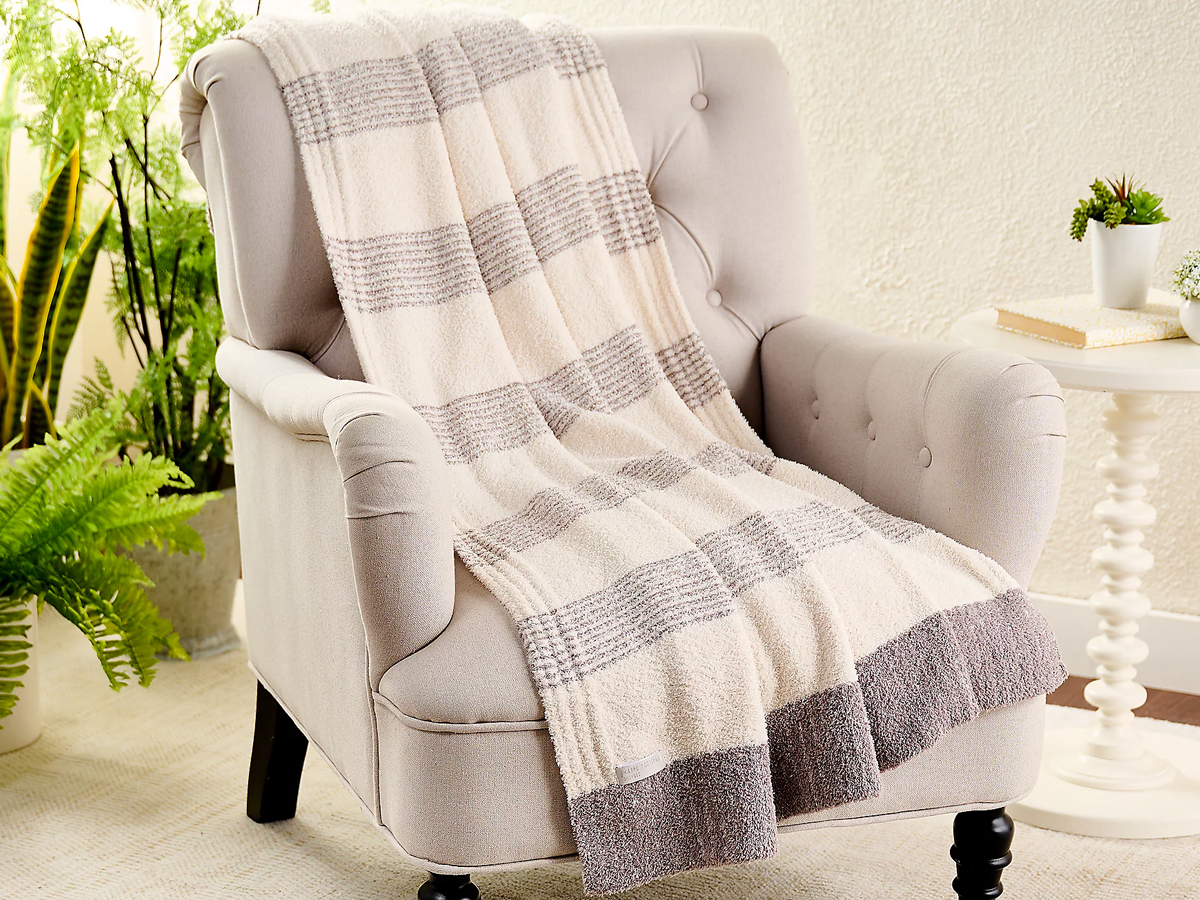 Cozychic stripe throw hot sale