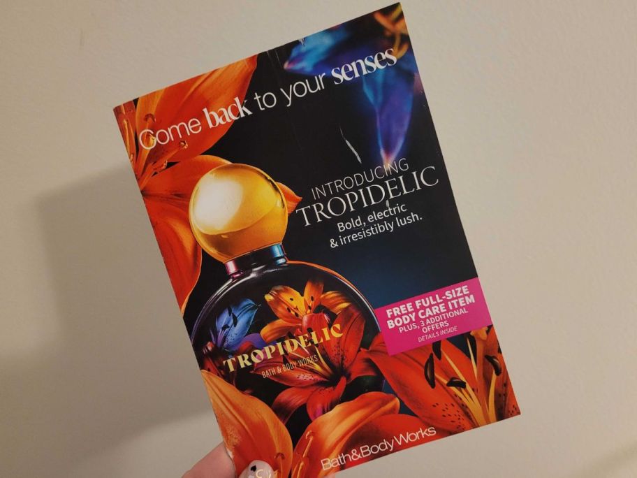 A hand holding a Bath & Body Works Mailer 