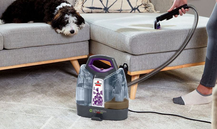 a woman using a bissell little green machine to clean a pet mess on a couch cushion. 