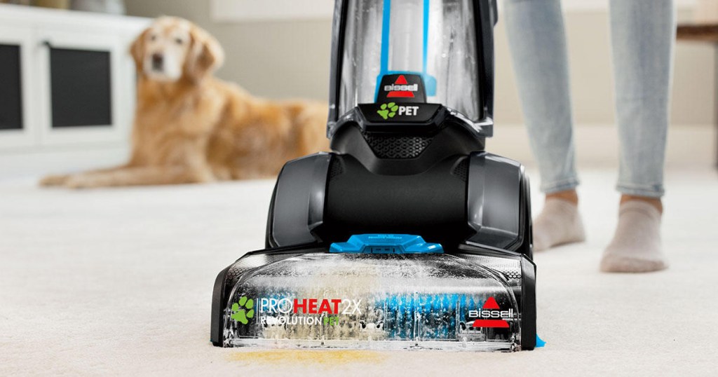 woman using carpet cleaner with dog in background