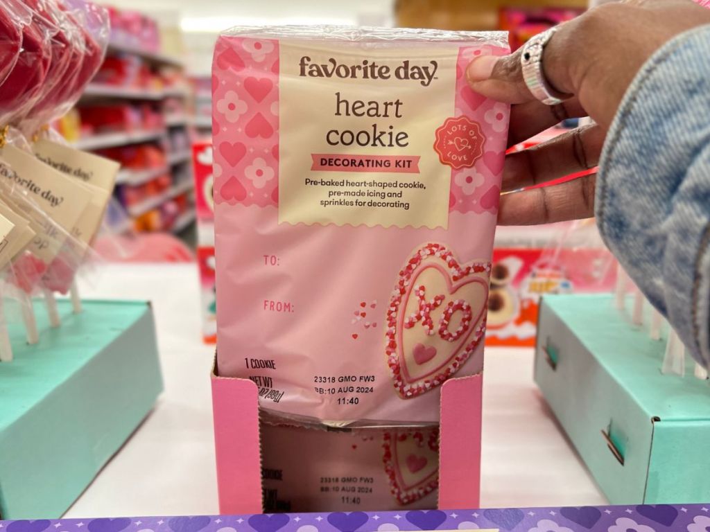 Favorite Day Valentine's Heart Cookie Decorating Kit